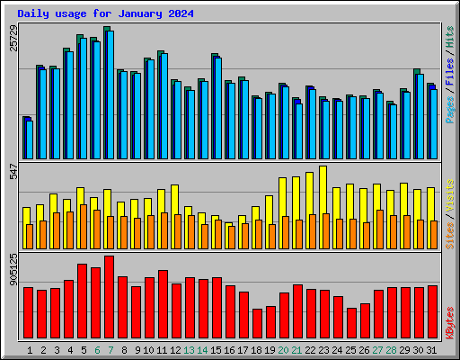 Daily usage for January 2024
