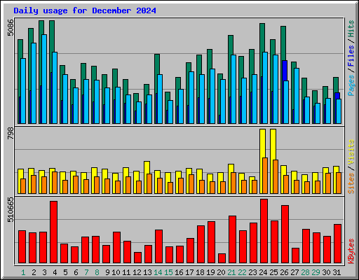 Daily usage for December 2024
