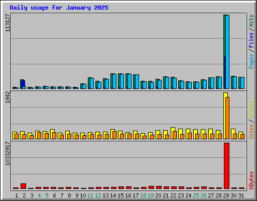 Daily usage for January 2025