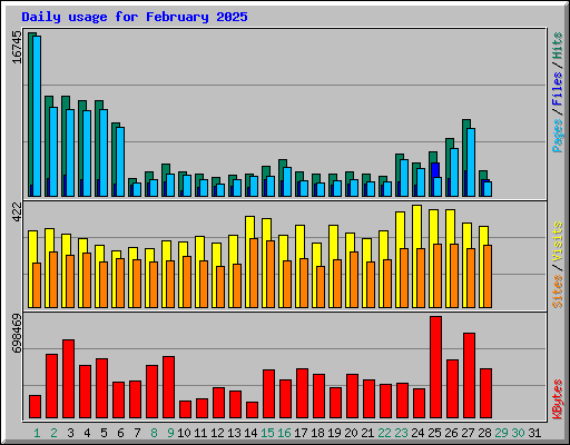 Daily usage for February 2025