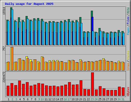 Daily usage for August 2025
