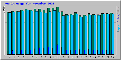 Hourly usage for November 2021