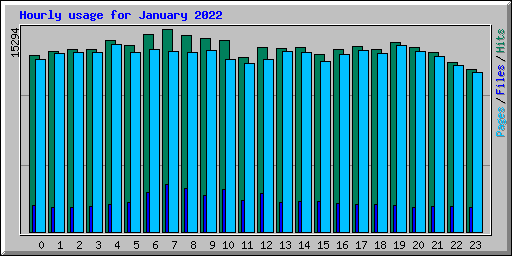 Hourly usage for January 2022