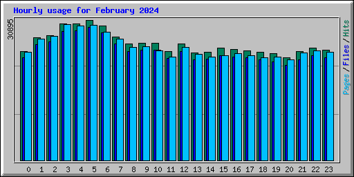 Hourly usage for February 2024