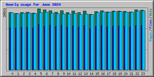 Hourly usage for June 2024