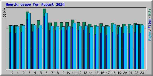 Hourly usage for August 2024