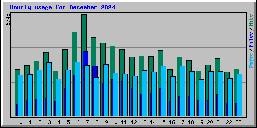 Hourly usage for December 2024