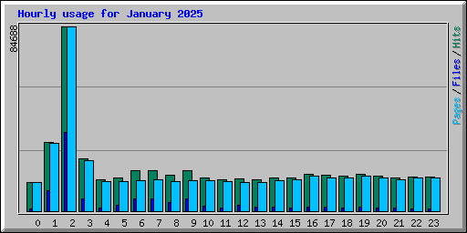 Hourly usage for January 2025