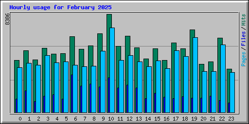 Hourly usage for February 2025