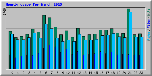 Hourly usage for March 2025