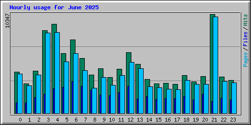Hourly usage for June 2025