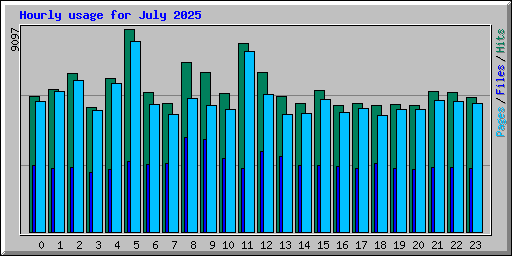 Hourly usage for July 2025