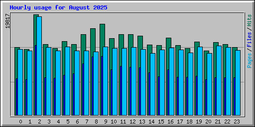 Hourly usage for August 2025