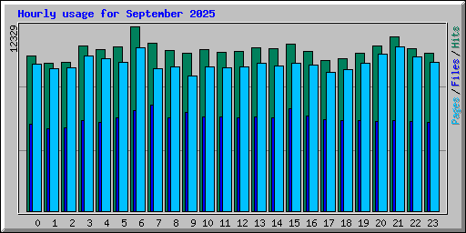 Hourly usage for September 2025