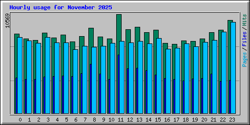 Hourly usage for November 2025