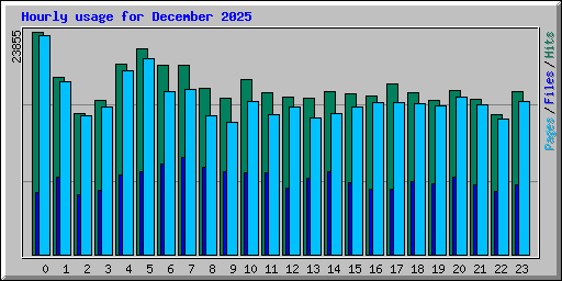 Hourly usage for December 2025