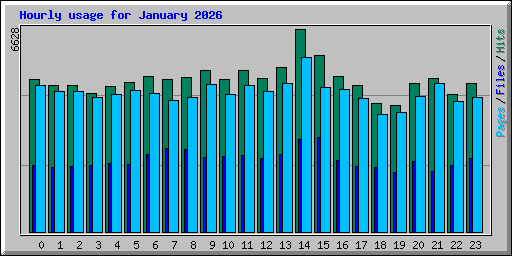 Hourly usage for January 2026