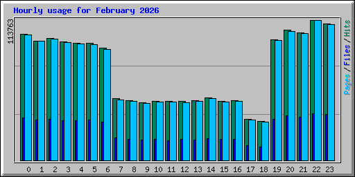 Hourly usage for February 2026