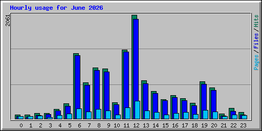 Hourly usage for June 2026